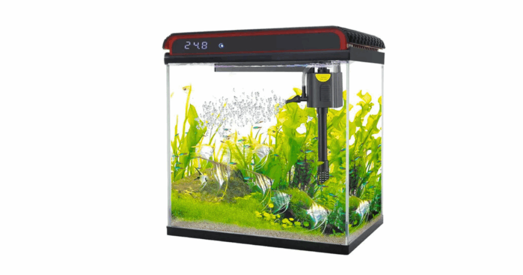 How to Set Up a 10 Gallon Fish Tank (Beginner-Friendly Step-by-Step Guide)